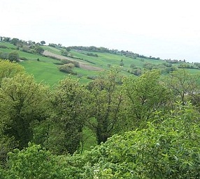 Slide panorama