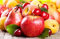 fresh fruit